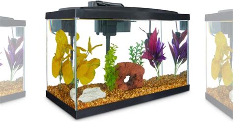 is an American pet retailer with corporate offices in San Diego and San Antonio. . Petcocom fish